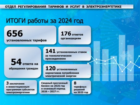 Информация о результатах работы отдела регулирования тарифов и услуг в электроэнергетике за 2024 год