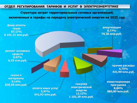 Информация о результатах работы отдела регулирования тарифов и услуг в электроэнергетике за 2024 год